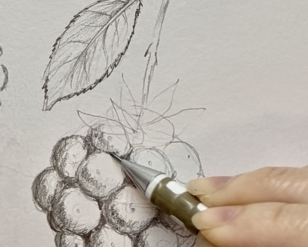 Berry Bag design sketching process showing hand-drawn blackberry-inspired handbag studies by Kim C